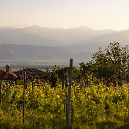Schuchmann Wines Chateau,Villas & Spa Telavi Eksteriør bilde
